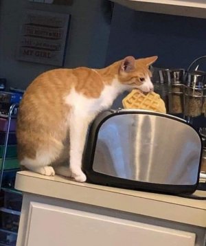 1000008817.jpg
