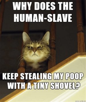FB_IMG_1737830534666.jpg