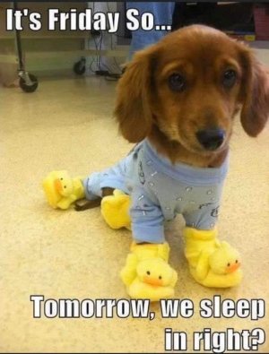 FB_IMG_1737729801461.jpg