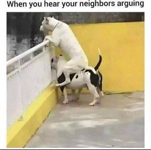 1000008847.jpg