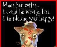 IMG_0420.jpeg