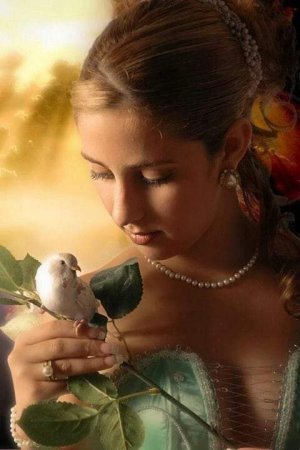 peace train bird.jpg