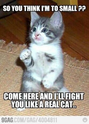 d264ee924a0d338b1af3c0669dadf0cc--humor-.jpg