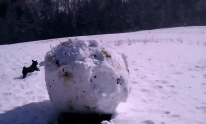 1737907187546.gif