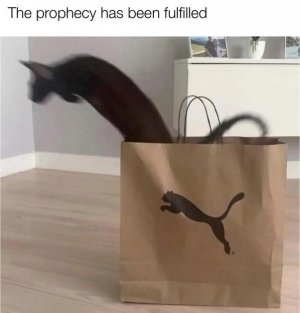 1000008887.jpg