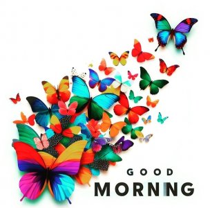 Good Morning.jpg