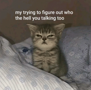 1737979426769.gif