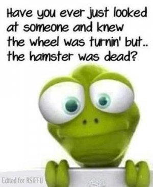 IMG_0316.jpeg