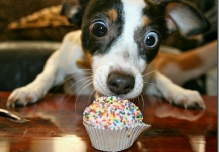 Cake @.jpg