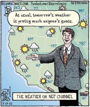 weather or not.jpg
