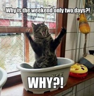 FB_IMG_1737991459309.jpg