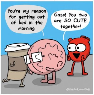 funny-coffee-comics-15.jpg