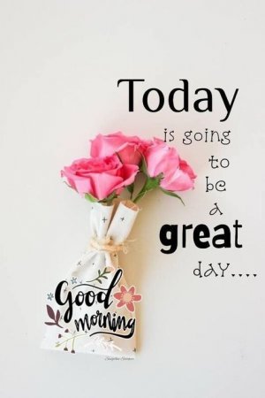 242226449590c086e1333060a3acd5f4[1].jpg