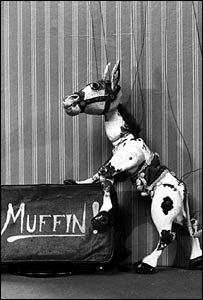 _39102967_muffin2.jpg