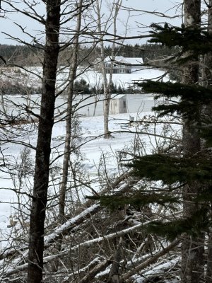IMG_7448.jpeg