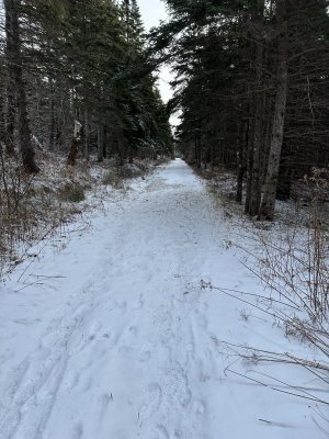 IMG_7446.jpeg
