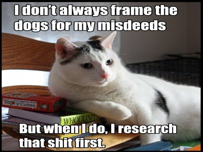 355125-cat-meme-quote-funny-humor-grumpy-sadic.jpg