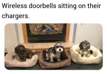 1000008948.jpg