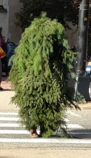 IMG_8681.jpeg