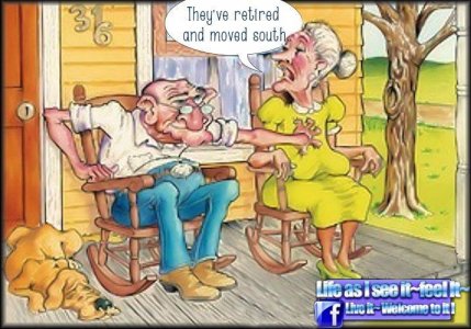 e4263099f69e945075aa5e32db490c36--toilet-humor-woman-humor.jpg