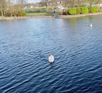park13c.jpg