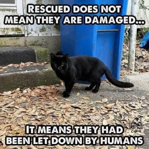 FB_IMG_1738223745443.jpg