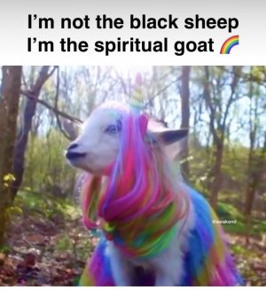 0022e1dd4035afc27b8e9696eee31f3e.jpg