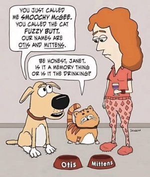 FB_IMG_1738288319568.jpg