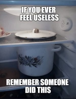 FB_IMG_1738306626448.jpg
