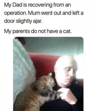 FB_IMG_1738306698718.jpg