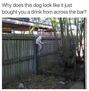 FB_IMG_1738306776614.jpg