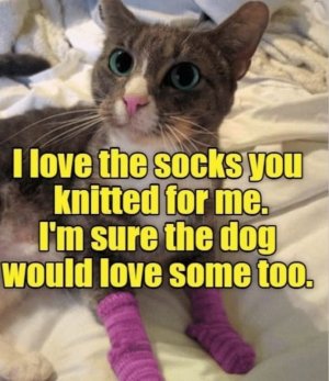 FB_IMG_1738333025054.jpg