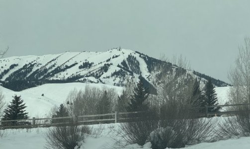 Grayskies.jpg