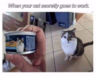 1000009021.jpg