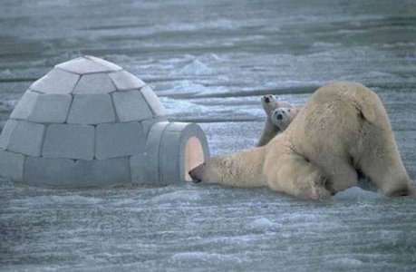 Igloo @.jpg