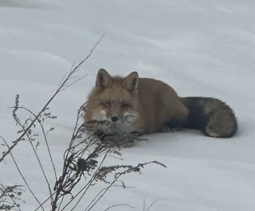 IMG_9788.jpeg