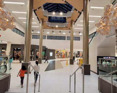 IMG_7467.jpeg IMG_7467.jpeg