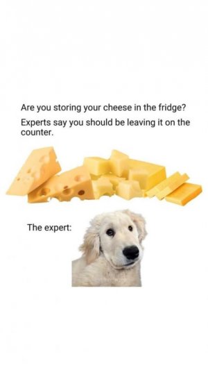 474600946_1018458450319752_404440792527440460_n.jpg