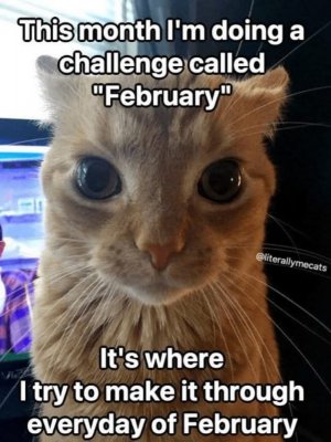 FB_IMG_1738418394284.jpg