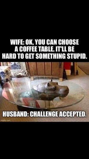 IMG_0351.jpeg