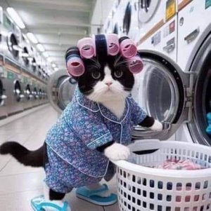 Laundry @.jpg