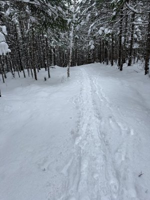 IMG_7470.jpeg