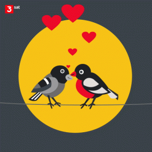 bd9a4ab9795508d660d09672bf9e38cc[1].gif