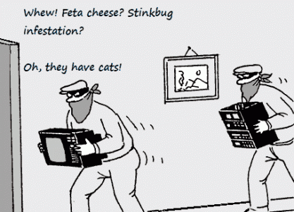 Cats.gif
