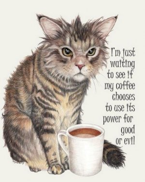 funny-coffee-humor-51.jpg