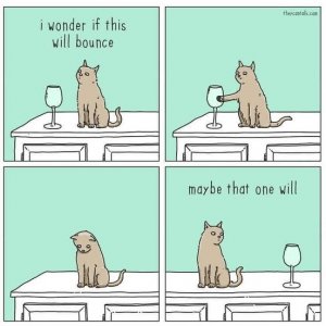 cat goblet joke.jpg