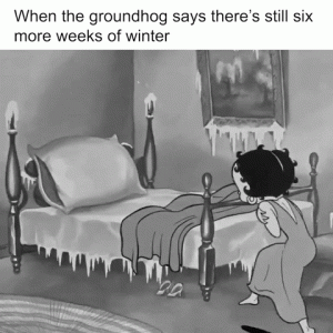 1738499693764.gif