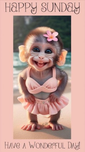 b69fec5febf4bd8b939f2225fae5d91c.jpg