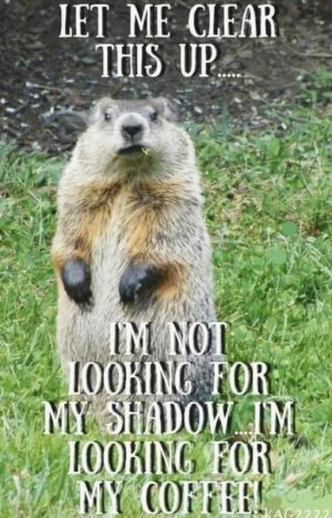 FB_IMG_1738208992597.jpg