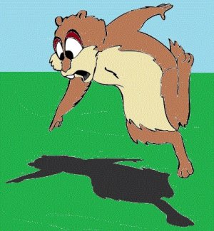 grpundhog2a.jpg